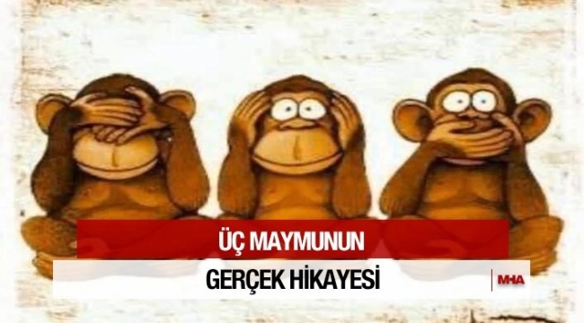 Üç Maymunun Hikayesi