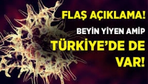 ABD'de görülen 'beyin yiyen amip' Türkiye'de de var