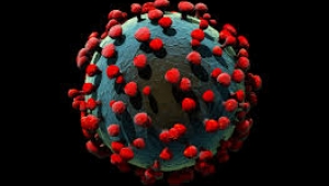 Karşı karşıya olduğumuz en büyük tehlike Koronavirüs değil