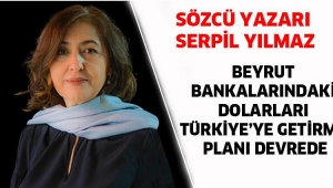 Dolarları Türkiye'ye getirme planı devrede