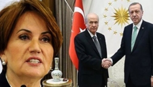 Erdoğan'ın Bahçeli'ye 'Akşener' çağrısı yaptırmasının nedeni ortaya çıktı