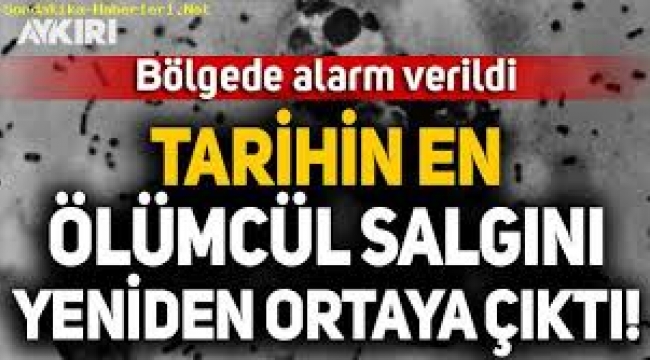 Tarihin en büyük salgını 'Kara Ölüm' Çin'de yeniden ortaya çıktı