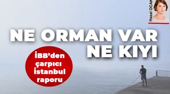 İBB'nin hazırladığı raporda, İstanbul'a ilişkin çarpıcı tespitler yer aldı: Ne orman var ne kıyı