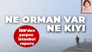 İBB'nin hazırladığı raporda, İstanbul'a ilişkin çarpıcı tespitler yer aldı: Ne orman var ne kıyı