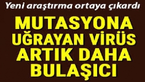 Yeni araştırma ortaya çıkardı: Koronavirüs artık daha bulaşıcı!