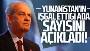 Yunanistan'ın işgal ettiği ada sayısını açıkladı