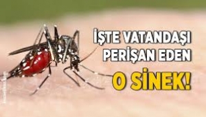  Açlığını insan kanıyla bastırıyor  