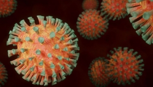  İnsanlara bulaşabilen başka bir koronavirüs keşfedild