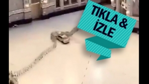 Kabe'ye saldırı girişimi