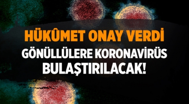  koronavirüs aşı çalışmaları için gönüllülere virüs bulaştırılacak