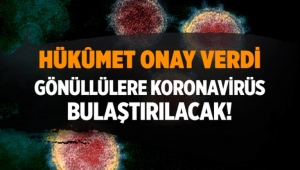  koronavirüs aşı çalışmaları için gönüllülere virüs bulaştırılacak