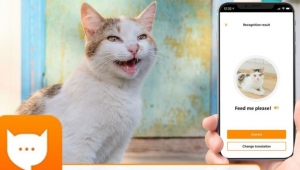 Kedilerin miyavlamalarını tercüme eden uygulama