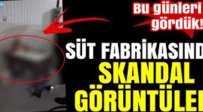Süt fabrikasında  Kazanın içine girip banyo yaptı!