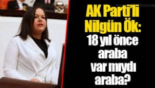 TBMM'de AKP'li Nilgün Ök: 18 yıl önce araba var mıydı?