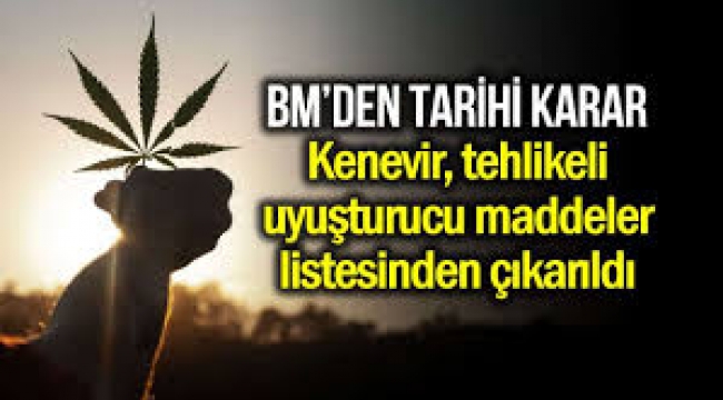 BM, kenevir ve türevlerini riskli narkotik listesinden çıkardı!
