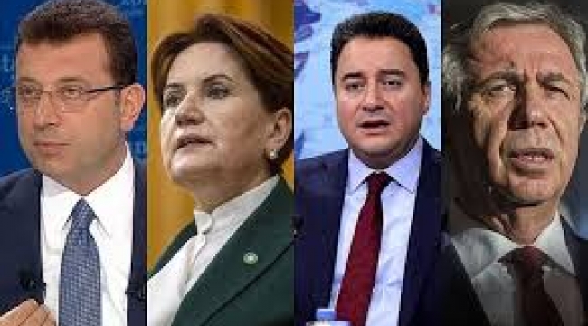 Erdoğan'ın karşısında kim, ne oy alır?