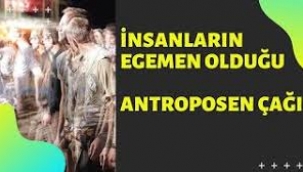 İnsan yapımı nesnelerin ağırlığı dünyadaki tüm canlıların ağırlığını aştı