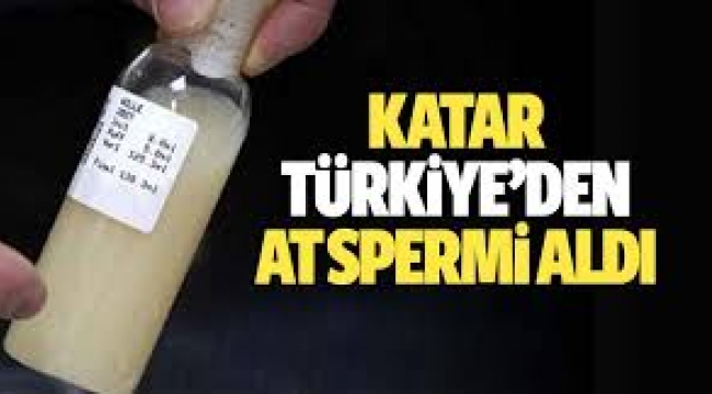 Katar'a bu kez dondurulmuş at spermi sattık