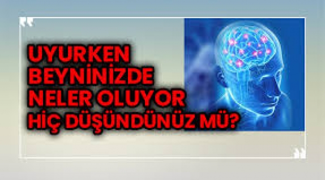  Uyurken insan beyninde neler oluyor neler 