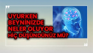  Uyurken insan beyninde neler oluyor neler 