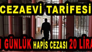 Cezaevi tarifesi: 1 günlük hapis cezası 20 lira