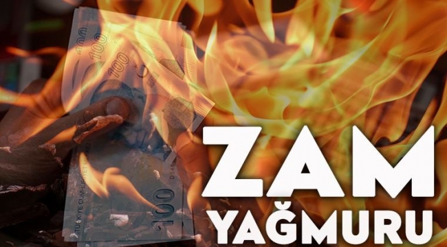 Elektrik, doğal gaz, köprü, pasaport, ehliyet.... 2021'e zamla girdik