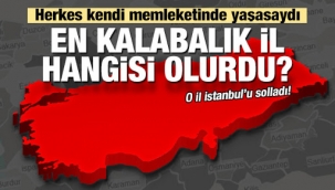 Herkes kendi memleketinde yaşasaydı illerin nüfusu ne olurdu?