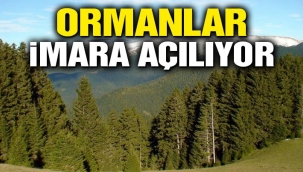 Ormanlar imara açılıyor