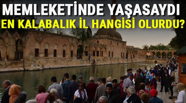  Türkiye'de herkes memleketinde yaşasa en kalabalık il hangisi olurdu?