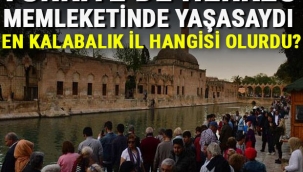  Türkiye'de herkes memleketinde yaşasa en kalabalık il hangisi olurdu?