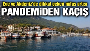 176 bin kişi daha Ege ve Akdeniz'e yerleşti