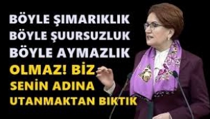 Akşener'den Erdogan'a senin adına utanmaktan bıktık