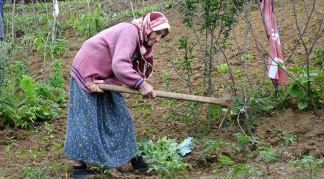 Bayanlar çoktan uzaya gitti ama Ayşe Teyze pazara gidemiyor!