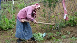 Bayanlar çoktan uzaya gitti ama Ayşe Teyze pazara gidemiyor!