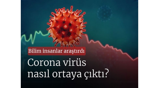 Bilim insanlar araştırdı: Corona virüs nasıl ortaya çıktı?