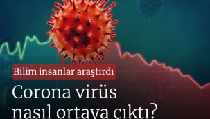 Bilim insanlar araştırdı: Corona virüs nasıl ortaya çıktı?