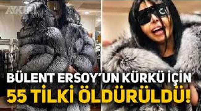 Bülent Ersoy'un Yeni Kürkü İçin 55 Tilki Öldürülmüş