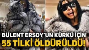 Bülent Ersoy'un Yeni Kürkü İçin 55 Tilki Öldürülmüş