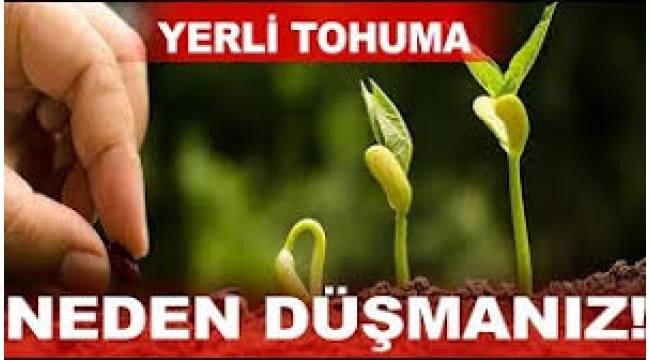Onlar canlarını verdiler tohumlarını vermediler ama biz…!