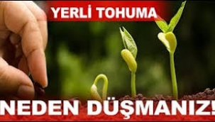 Onlar canlarını verdiler tohumlarını vermediler ama biz…!