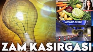 Sadece aylık gıda harcaması düşüldüğünde asgari ücretliye 173 TL kalıyor