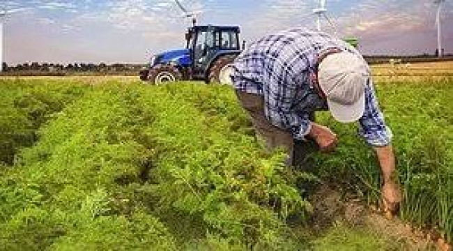 Traktörüne haciz gelen çiftçi, kalp krizi geçirerek hayatını kaybetti