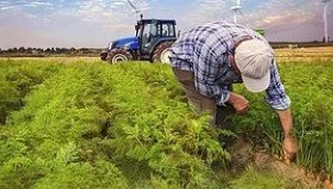 Traktörüne haciz gelen çiftçi, kalp krizi geçirerek hayatını kaybetti
