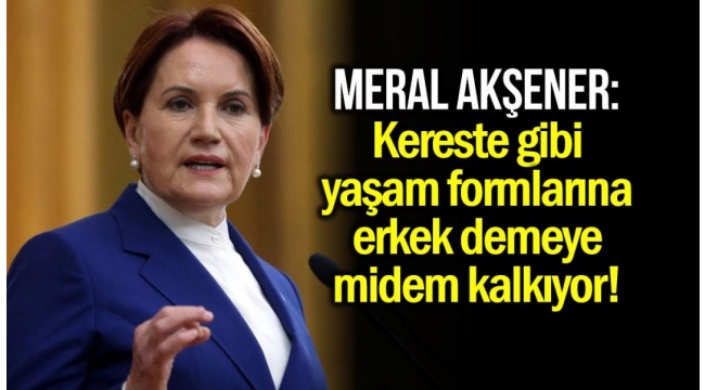 Akşener'den 'Fosforlu Cevriye' tepkisi