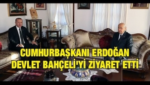 Cumhurbaşkanı Erdoğan Devlet Bahçeli'yi neden ziyaret etti?