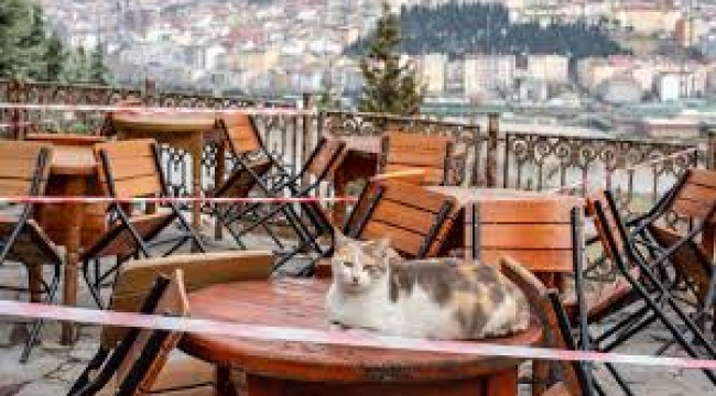 Esnafın gözü Beştepe'de: Kapanma olur mu?