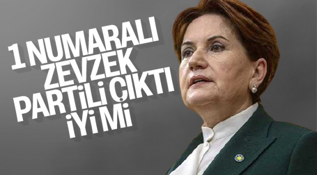 Akşener Zevzeklik Demişti: Montrö Bildirisinin 1 Numaralı İmzacısı İYİ Partili Amiral Çıktı