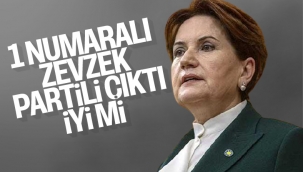 Akşener Zevzeklik Demişti: Montrö Bildirisinin 1 Numaralı İmzacısı İYİ Partili Amiral Çıktı