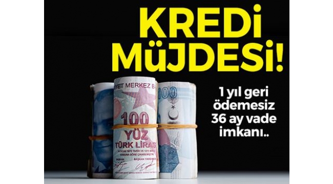Kredi çekecekler dikkat! 1 yıl geri ödemesiz, 36 ayda...