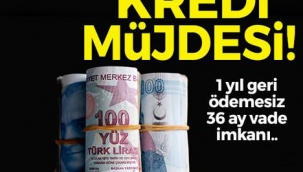 Kredi çekecekler dikkat! 1 yıl geri ödemesiz, 36 ayda...